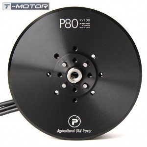 موتور براشلس T-motor P80 100KV