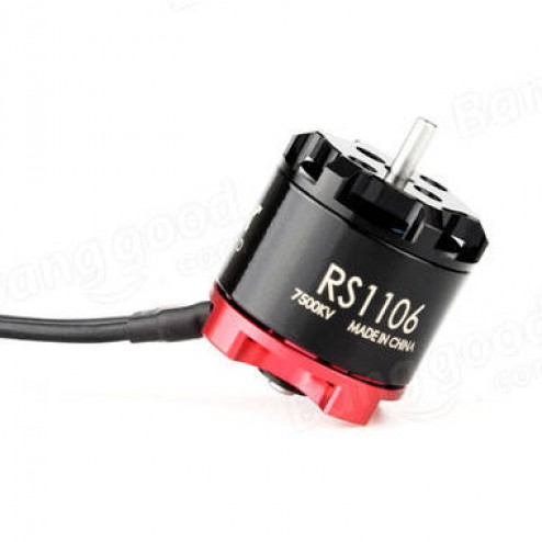 موتور براشلس Emax RS1106 6000KV
